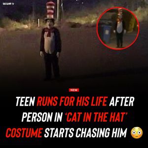 Image post by @shottawa.tv on Instagram