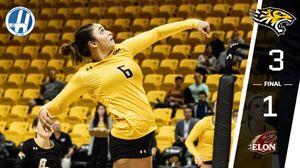 Image post by @towsontigersvb on Instagram