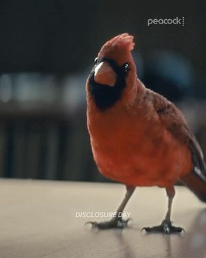 Image post by @peacock on Instagram
