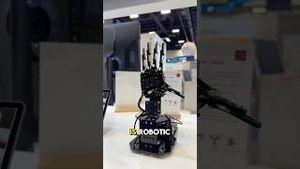 Video post by @whatsinsidefamily on YouTube