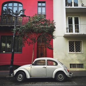 Image post by @kirstenalana on Instagram