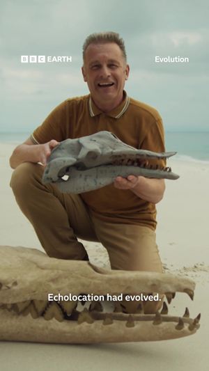 Video post by @bbcearth on TikTok