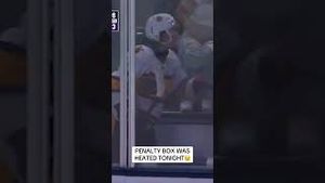 Video post by @flohockey on YouTube