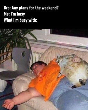 Image post by @9gag on Instagram