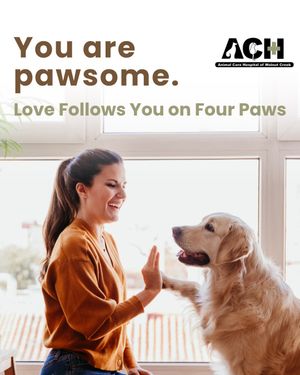 Image post by @achwalnutcreek on Instagram
