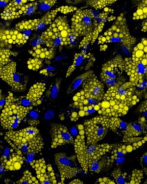 Image post by @biohub on Instagram