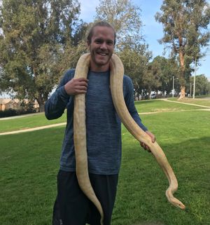 Image post by @Noahsyndergaard on Twitter