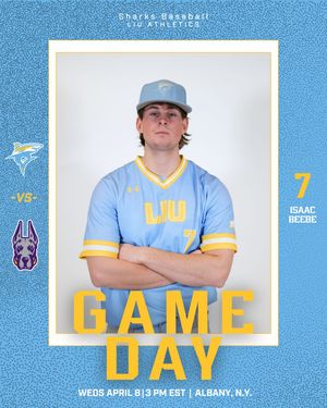 Image post by @liubaseball on Instagram