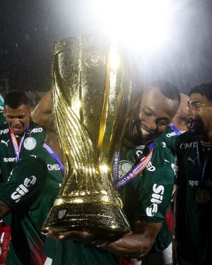 Image post by @palmeiras on Instagram