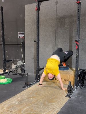 Image post by @alexisfarinacci on Instagram