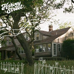Image post by @harveystreetband on Instagram