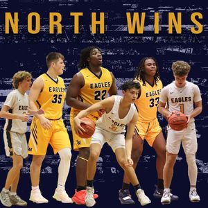 Image post by @lneaglehoops on Instagram