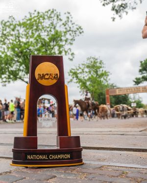 Image post by @ncaagymnastics_ on Instagram