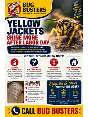 Image post by @bugbustersusa on Instagram