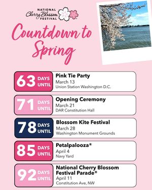 Image post by @cherryblossfest on Instagram