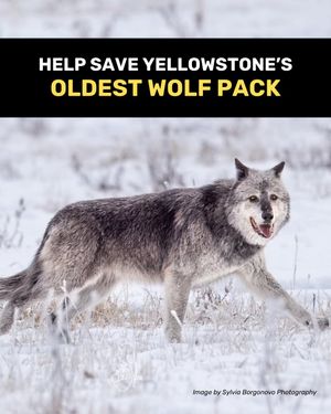Image post by @centerforbiodiv on Instagram