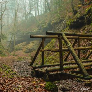 Image post by @cristan.nature.photography on Instagram
