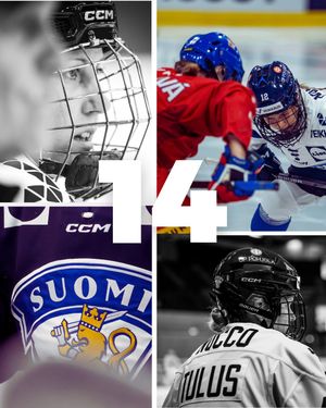 Image post by @leijonatfi on Instagram