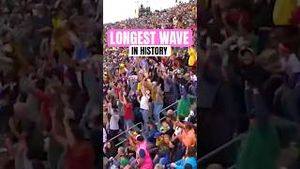 Video post by @thepartyanimals.bananaball on YouTube