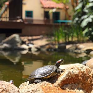 Image post by @sdsufowler on Instagram