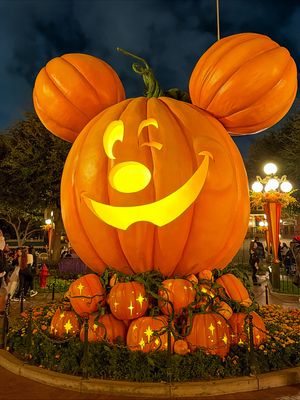 Image post by @disneyland on Instagram