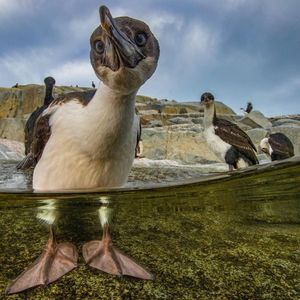 Image post by @katiecouricmedia on Instagram