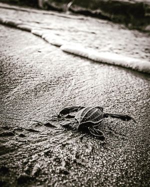 Image post by @stantonhunterphoto on Instagram