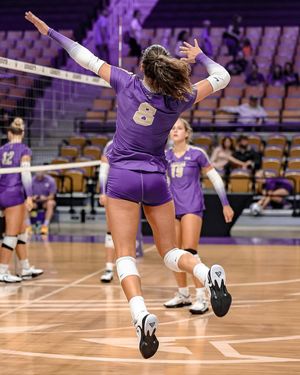 Image post by @catamountvb on Instagram