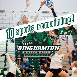 Image post by @binghamtonvb on Instagram