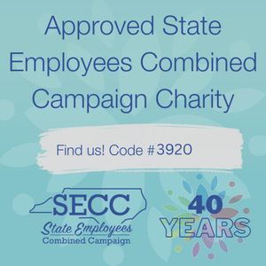 Image post by @cctcharlotte on Instagram