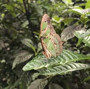 Image post by @deeringestate on Instagram