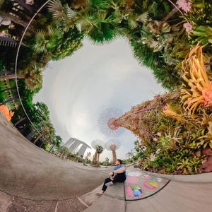 Image post by @ryankite on Instagram