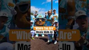 Video post by @loco.beach.coconuts on YouTube