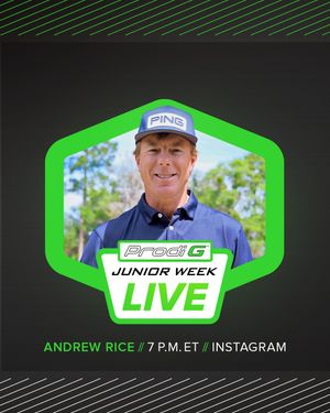 Image post by @pingtour on Instagram