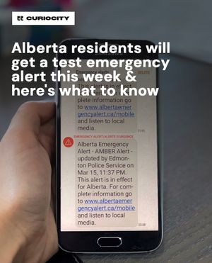 Image post by @curiocitycalgary on Instagram