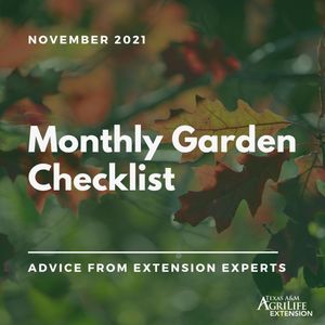 Image post by @txextension on Instagram
