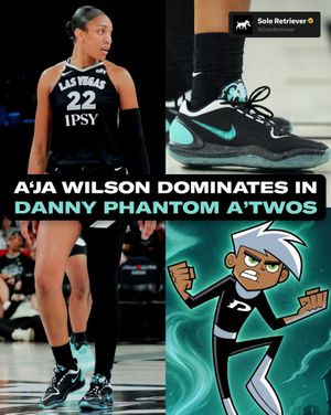 Image post by @soleretriever on Instagram