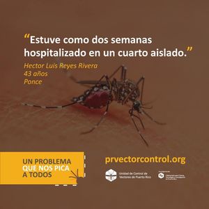 Image post by @prvectorcontrol on Instagram
