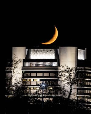 Image post by @hofstrau on Instagram