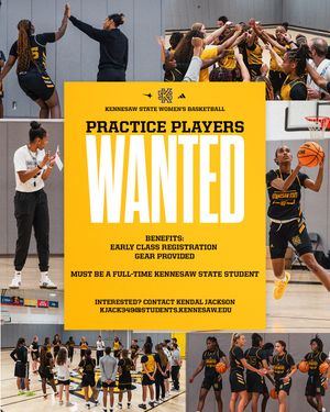 Image post by @ksuowlswbb on Instagram