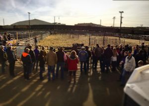 Image post by @nationalwestern on Instagram
