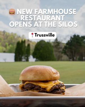 Image post by @bhamnow on Instagram