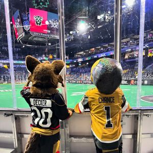 Image post by @chancenhl on Instagram