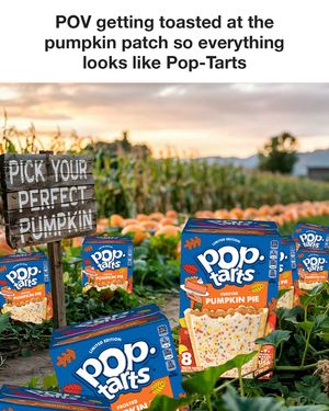 Image post by @poptartsus on Instagram