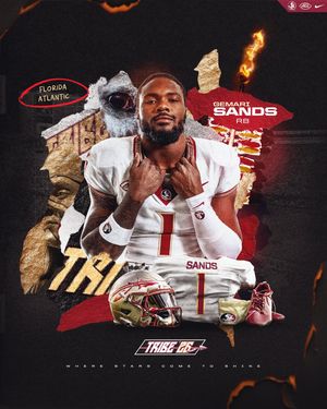 Image post by @fsufootball on Instagram