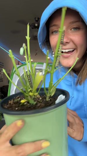 Video post by @b r o o k e🦈 on Facebook