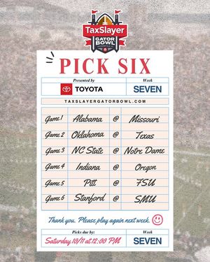 Image post by @taxslayergatorbowl on Instagram