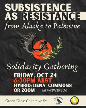 Image post by @fairbanks4palestine on Instagram