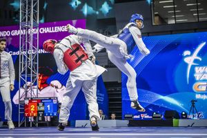 Image post by @worldtaekwondo on Instagram