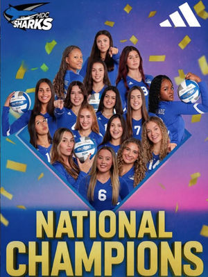 Image post by @avcavolleyball on Instagram